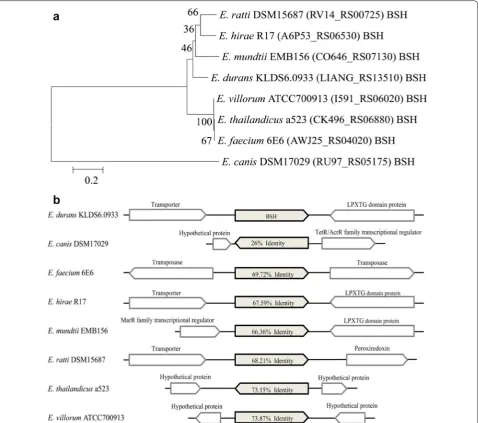 Fig. 2 Bioinformatics analysis of bile salt hydrolase (BSH) from Enterococcus durans KLDS6.0933