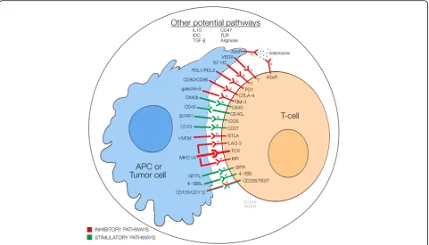 Fig. 1 Immune interactions involving antigen presenting cells or tumor cells, T cells, and tumor microenvironment