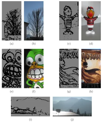 Figure 4.3: Images taken by our camera compared with a picture of the same subjectstaken with a standard camera: in (a) we can easily identify the tree with its branches andthe house at its left; note that the bottom of the tree disappears due to the prese