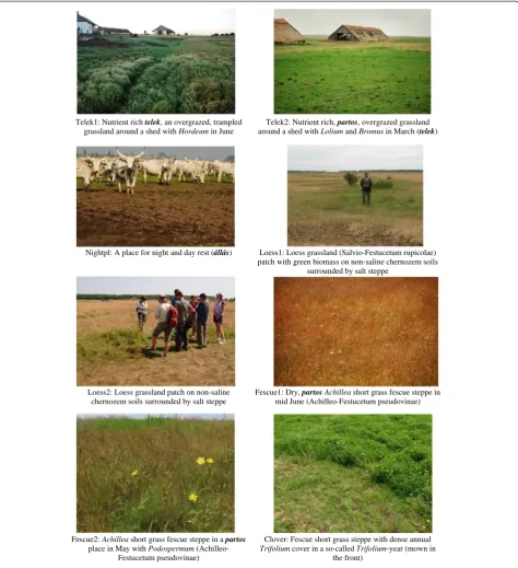 Figure 4 Pictures used in the picture sort exercises: codes and botanical descriptions of dry habitats.
