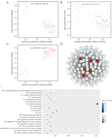 Figure 4 Clinical relevance and functional analysis of genes in module Mepink. (A,B,C) A scatter plot of gene significance for NFT (A), BRAAK (B), and MMSE (C) vs