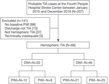 Figure 1 Flowchart of patient recruitment. DWI, diffusion-weighted imaging; TIA, transient ischemic attack; PWI, perfusion weighted imaging.