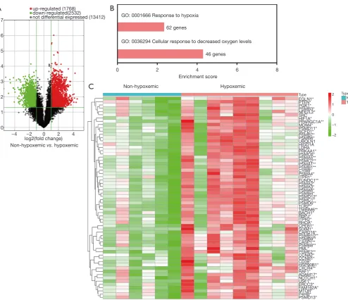 Figure 1 Volcano plot of significantly differential experiment genes and significant GO analyses related to cell response to hypoxia