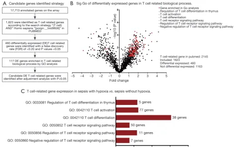 Figure 2 Differentially expressed T cell related genes and biological process involvement