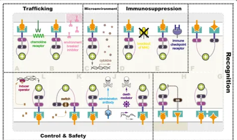 Fig. 3 Strategies being exploited to overcome challenges in CAR-T therapy in solid tumor