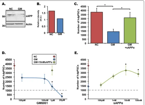 Figure 5 Soluble amyloid precursor protein (sAPP) can ameliorate proliferation deficits in Human decidua parietalis placenta stem