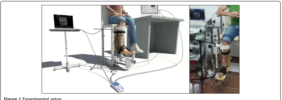 Figure 1 Experimental setup.