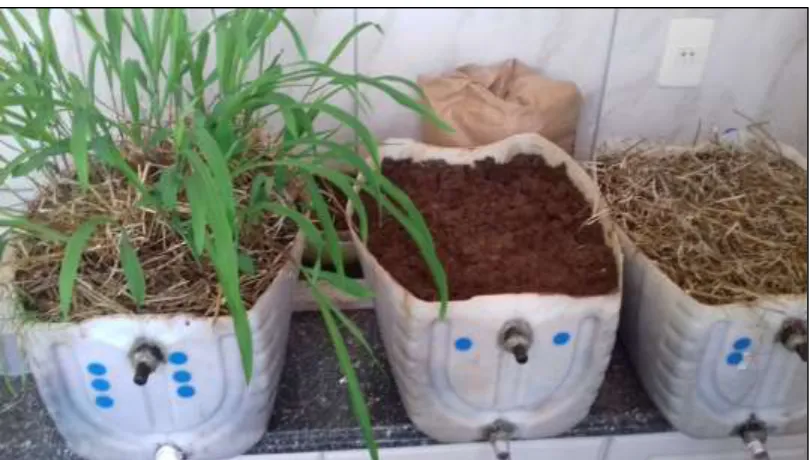 Figure 2 -  Front view of the soil models, showing upper and lower holes for collecting the drained and infiltrated water, respectively