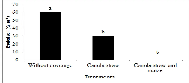 Figure 3  - Estimation of soil loss per hectare, in each of the treatments. Means with different letters differ 