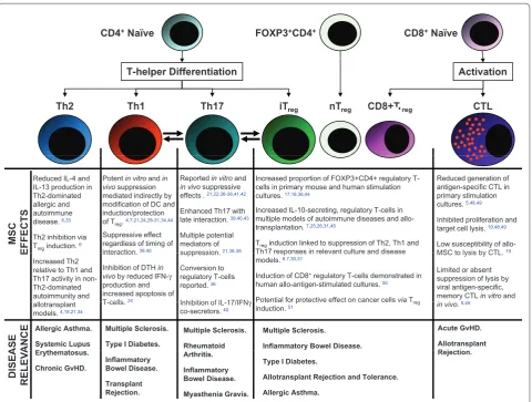 Figure 1. Diagrammatic summary of the major CD4+relevance to MSC immune modulatory eff ects