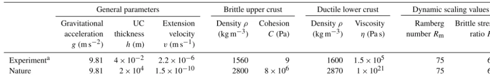 Figure 4. Foam base (brittle-only) results. (a, b) Top views depicting the ﬁnal surface structures of models F1 (no seed) and F4 (withseed)