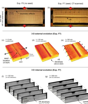Figure 5. Foam base (brittle-viscous) results. (a, b) Top views depicting the ﬁnal surface structures of experiments F5 (no seed) and F7 (withseed)
