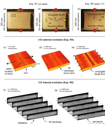 Figure 6. Rubber base (brittle-only) results.CT-scanned experiment R5.that the boundary effects are present on both sides of the experiment, but these are partially invisible due to shadow