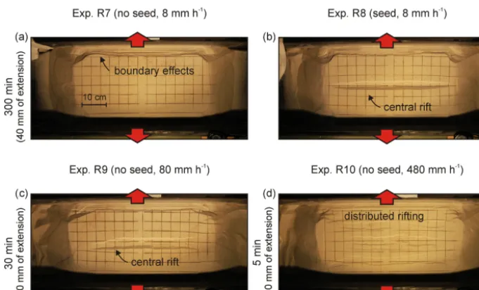 Figure 7. Rubber base (brittle-viscous) results. Top views depicting the ﬁnal surface structures of (a, b) experiments R7 and R8 (referenceextension velocity of 8 mm h−1) and (c, d) R9 and R10 (high extension velocity experiments: 80 and 480 mm h−1, respec