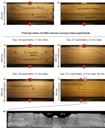 Figure 9. Overview of conveyor base results (all without seed). Top views depicting the ﬁnal surface structures ofinvisible due to shadow