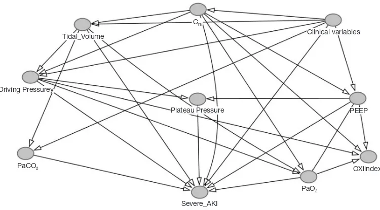 Figure 1 Directed acyclic graph with causality assumptions. Other clinical variables: age, gender, Elixhauser morbidity score, sepsis, SAPS I, vasoactive drugs, nephrotoxic drugs, baseline renal function, fluid balance before mechanical ventilation