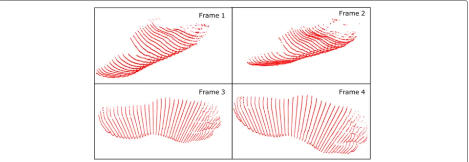 Figure 4 Foot video sequence. Four sample frames of a recorded step. On average, a step consists of 20 and up to 40 frames.