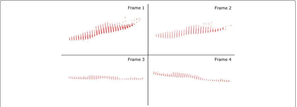 Figure 6 Foot reconstructions 2. Same reconstructions as in Figure 5, showing their corresponding orientations in space.