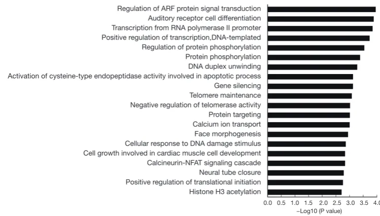 Figure 7 KEGG pathway analysis of aberrantly expressed mRNAs involved in the ceRNA network