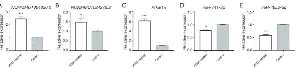 Figure 8 qPCR validation for NONMMUT004850.2, NONMMUT024276.2, miR-741-3p/miR-465b-5p, and Prkar1α expression levels in control and ATRA-treated embryos (**, P<0.01; ***, P<0.001)