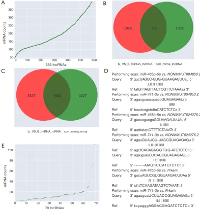 Figure 3 Prediction of ceRNAs and miR-741-3p/miR-465b-5p-target binding sites predicted by correlation analysis in control and ATRA-treated embryos