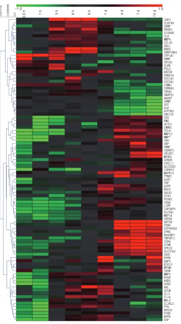 Figure 3 Heatmap of genes involved in organismal injury and abnormalities. The expression levels of genes were indicated by the color bar above the heatmap