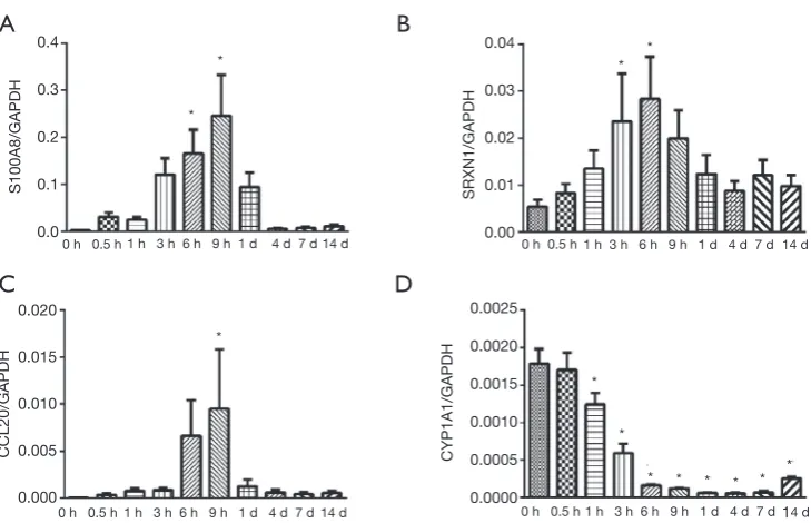 Figure 4 Validation of the expression levels of representative genes involved in organismal injury and abnormalities