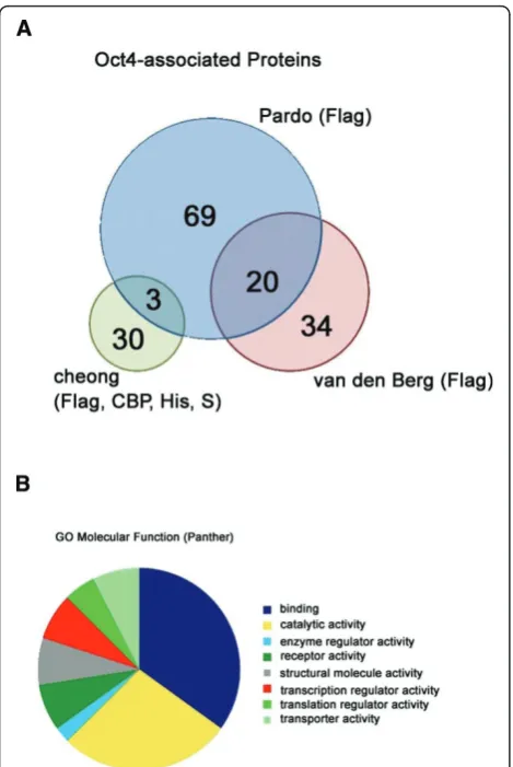 Table 3 Phenotypes for loss of function of Oct4-associated transcriptional regulators