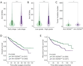 Figure 3 High level of arm copy number alterations associates with worse survival and higher tumor mutation burden