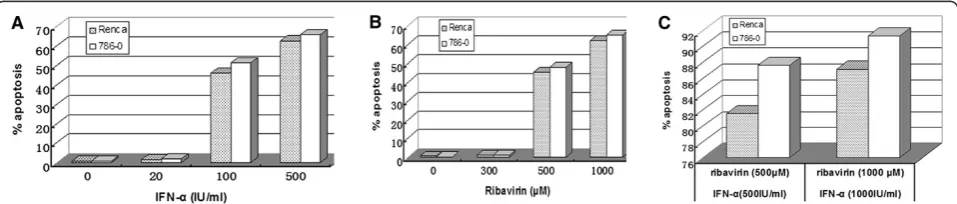 Figure 1 The effect of IFN-and 1000α and ribavirin alone and combined IFN-α and ribavirin treatment on the proliferation of the murine andhuman RCC cells