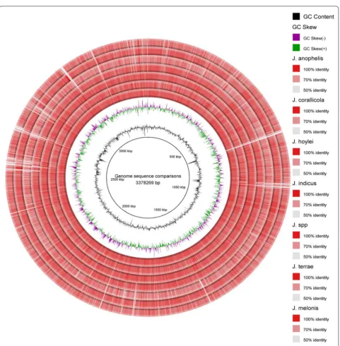 Fig. 2 Whole genome sequence comparisons in microbes of genus also represents sequence wise figure legends with an information on identity levels corresponding to the color match where the innermost circle (black circular line) represents reference genome 