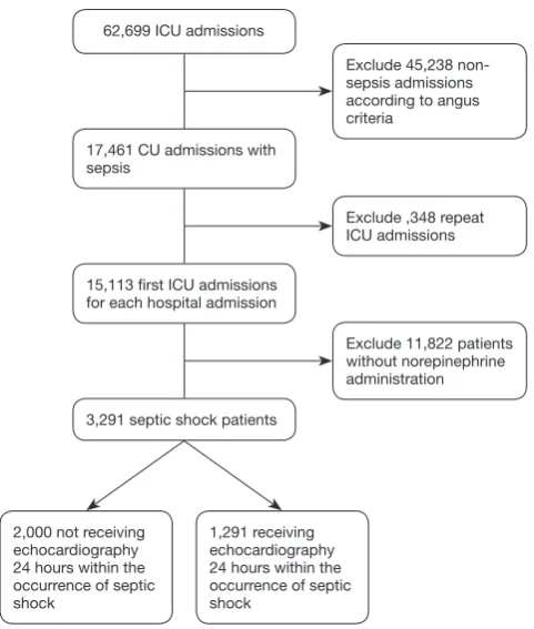 Figure 1 Flow chart: the inclusion of the study population.