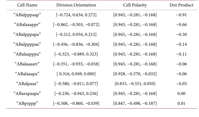 Table 1. The differences (Dot Product) between the Division Orientation and Cell Polarity of Cells within the AB Sub-lineage