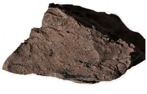 Figure 2.1: Lignite coal[8] 