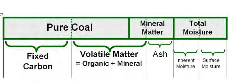 Figure 2.4: Component of coal [8] 