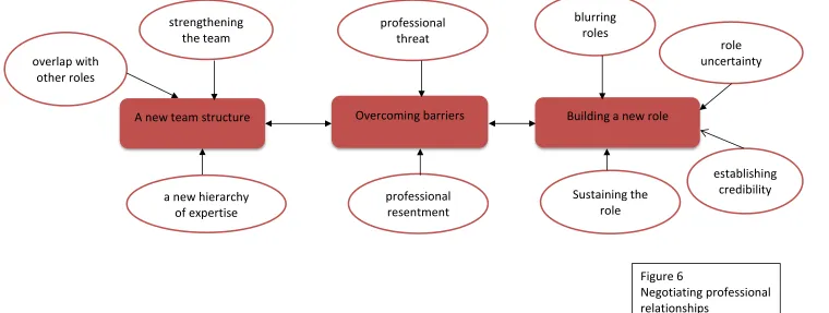 Figure 6 Negotiating professional 