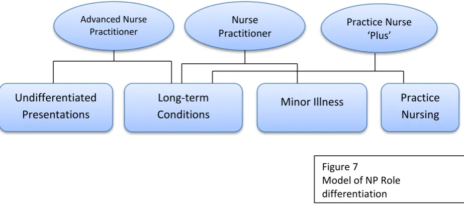 Figure 7 Model of NP Role 