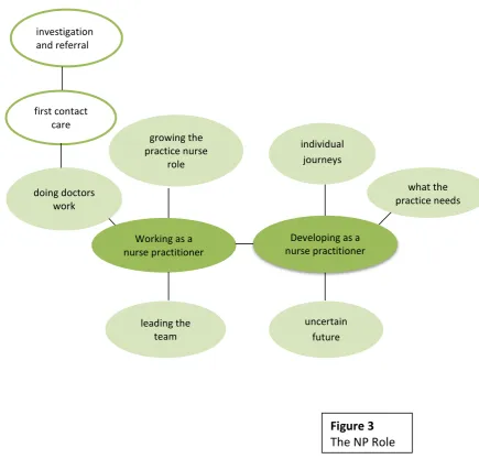Figure 3  The NP Role 