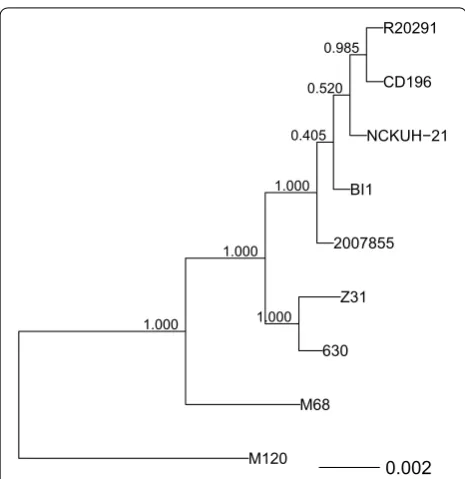 Fig. 2 Genome alignment of Clostridium difficile strains performed using progressiveMauve (http://darlinglab.org/mauve/user‑guide/progressivemauve.html) and visualized using genoPlotR (http://genoplotr.r‑forge.r‑project.org)