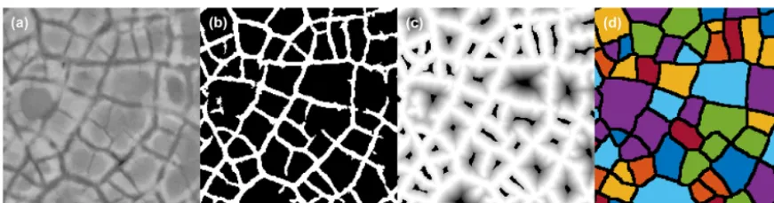 Figure 2. Illustration of several intermediate stages in our workﬂow. The CNN processes information stored in 8-bit grayscale imageryrepresenting microtopography (a), estimated by removing regional trends from the lidar DEM (Fig