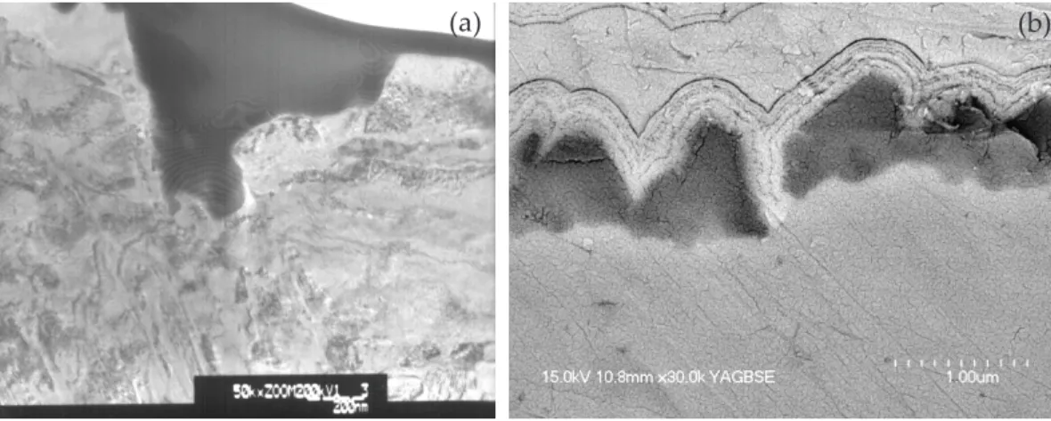 Figure  5.  Slip  bands  details  of  SCC  process:  (a)  Film  structure  of  surface  oxide  on  test  material  (austenitic  stainless steel)