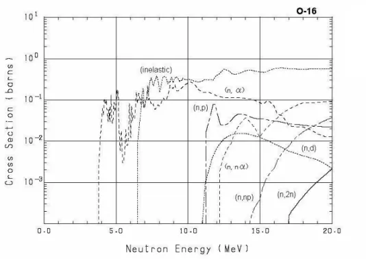 Figure 4.  Neutron reactions in a light element, O 16 . 