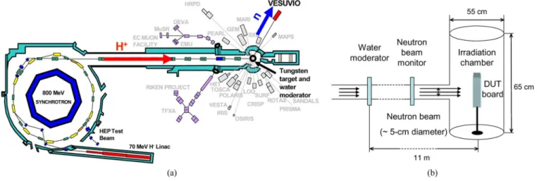 Fig. 1. Schematic of (a) ISIS neutron facility and (b) VESUVIO irradiation chamber.