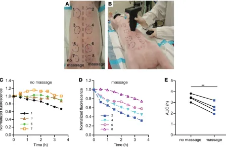 Figure 6. The effect of manual stimulation on lymphatic clearance in the ventral aspect of the torso of anesthetized pig 1 after bolus intradermal administration of 50 μl indocyanine green (0.0075 mg/ml) in a solution of Kolliphor HS15 (10 mg/ml) using Mic
