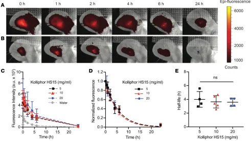 Figure 2. Clearance kinetics after bolus intradermal administration of indocyanine green in water or in a solution of Kolliphor HS15 into mouse ears