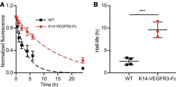 Figure 3. Quantification of dermal lymphatic drainage after bolus intradermal administration of 3 μanine green (0.0075 mg/ml) in Kolliphor HS15 (10 mg/ml) into the ears of WT and K14-VEFGR3-Fc mice lacking a dermal lymphatic vasculature.decay function in W