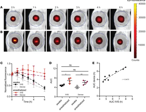 Figure 5. Clearance kinetics after bolus intradermal administration of 5 μl of the solution of indocyanine green (0.0075 mg/ml) in Kolliphor HS15 (10 mg/ml) into the back skin of WT mice