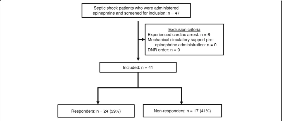 Fig. 1 Flowchart of patient selection in this study. DNR, do-not-resuscitate