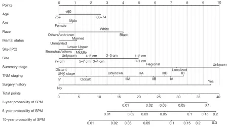 Figure 2 Competing risk nomogram for predicting 3-, 5- and 10-year cumulative incidence of SPM in NSCLC