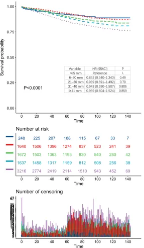 Figure S2 Kaplan-Meir CSS curves according to tumor size in the whole cohort. CSS, cause-specific survival.